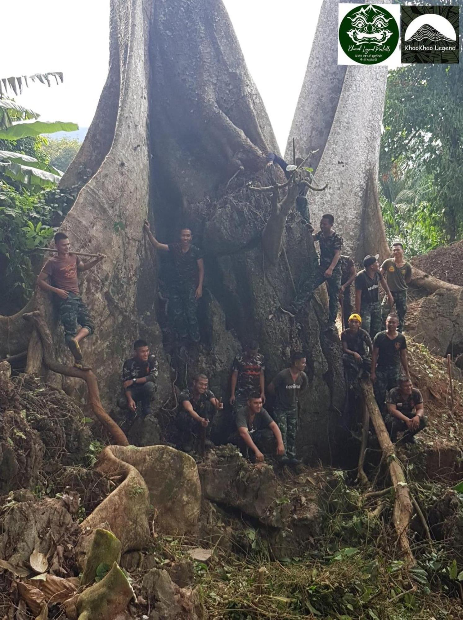 Вилла Khaosok Legend Khao Sok National Park Экстерьер фото